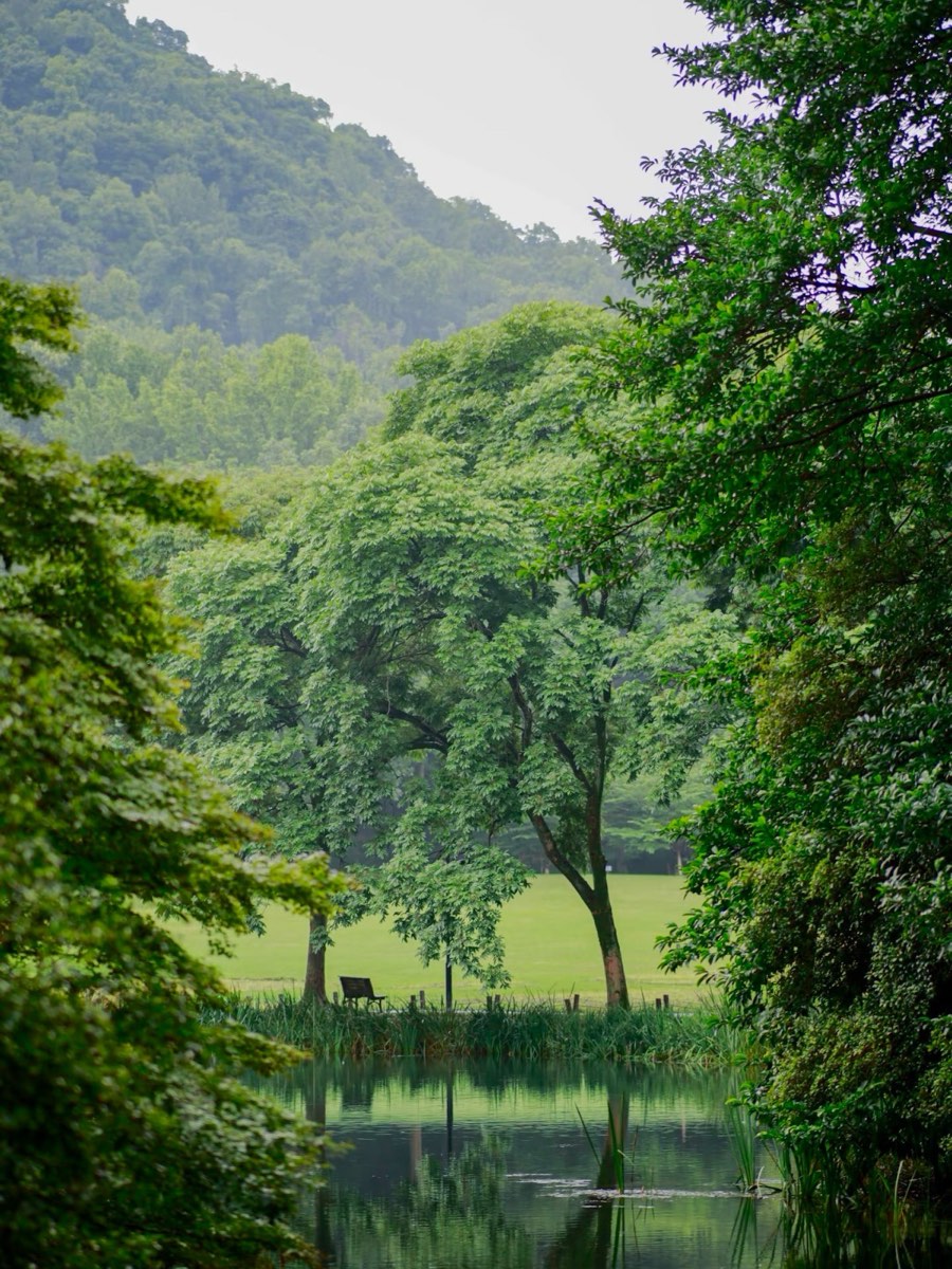 Taiziwan Park