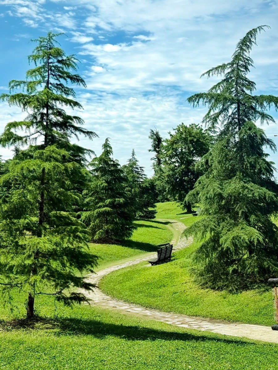 Gongqing Forest Park