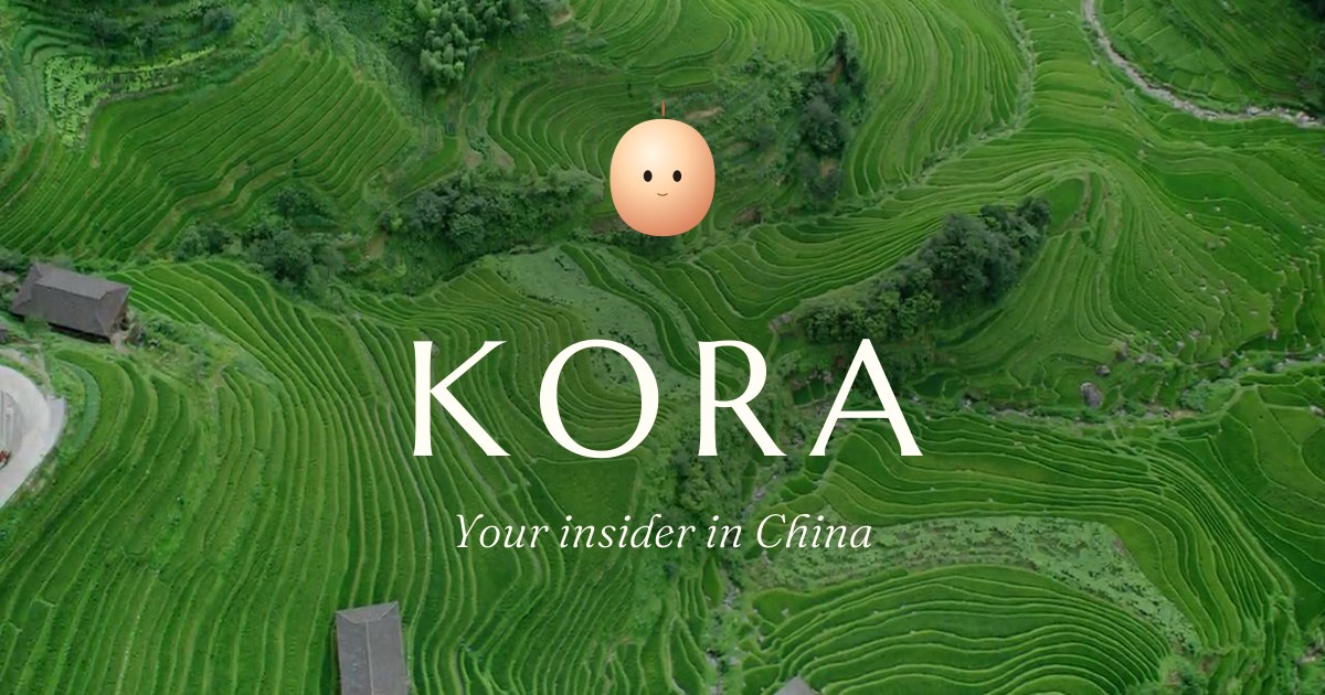 KORA screenshot 2